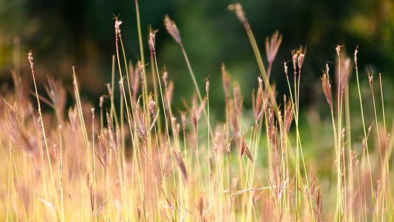 1988影院-音乐MV片段